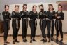 Showteil Katzen